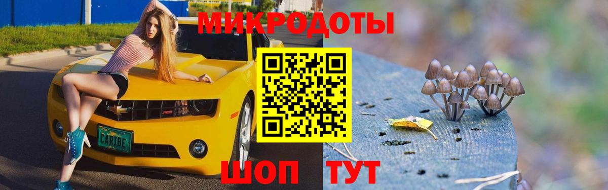 Галлюциногенные грибы MAGIC MUSHROOMS  Псилоцибиновые грибы ЛСД  Казань  Вход с VPN 