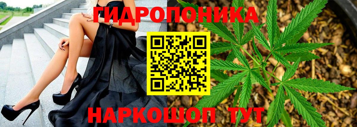 Казань  МАРИХУАНА семена  Вход с VPN  Каннабис SATIVA & INDICA  МАРИХУАНА индика 
